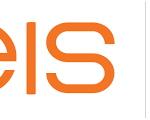 CEIS logo