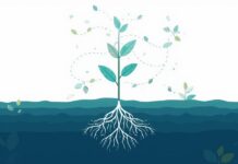 How to Scale Your Staffing Firm Without Losing What Made You Successful